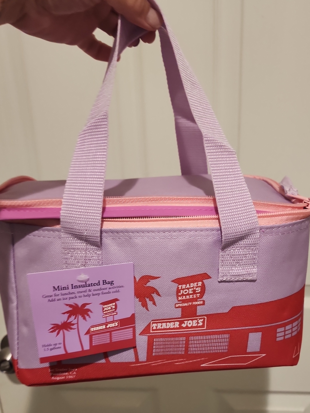 Trader Joe's Lilac and Red Mini Insulated Bag